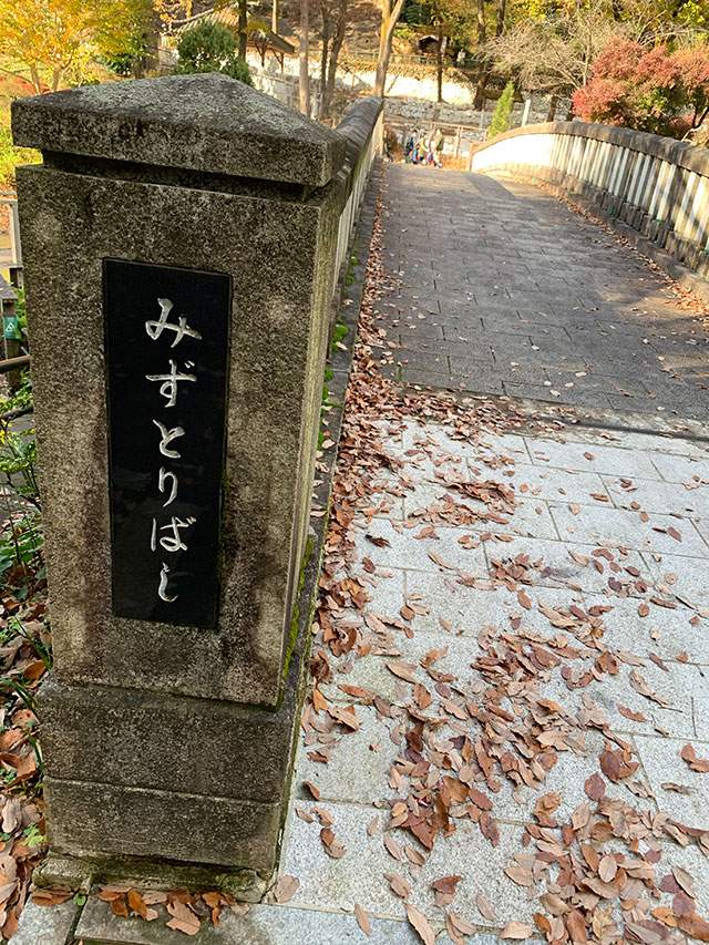 多摩動物公園の水鳥橋