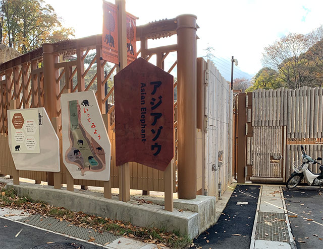 多摩動物公園の新アジアゾウ舎