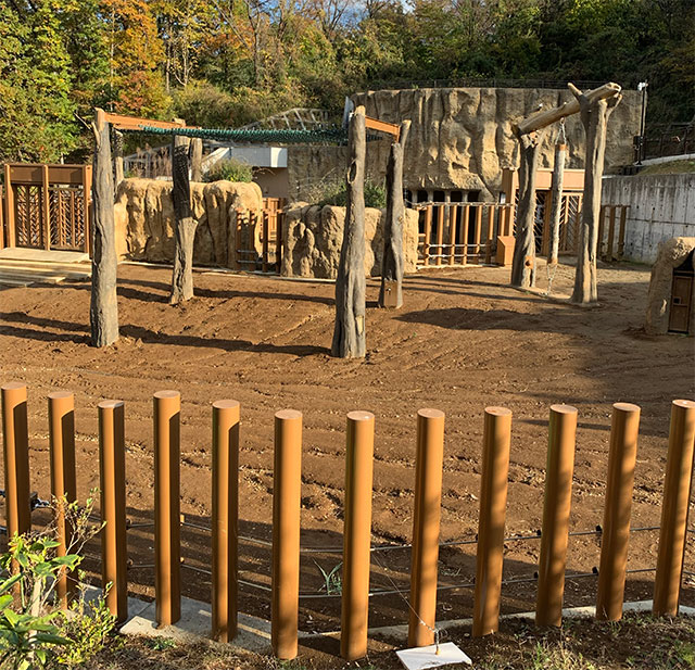 多摩動物公園の新アジアゾウ舎運動場