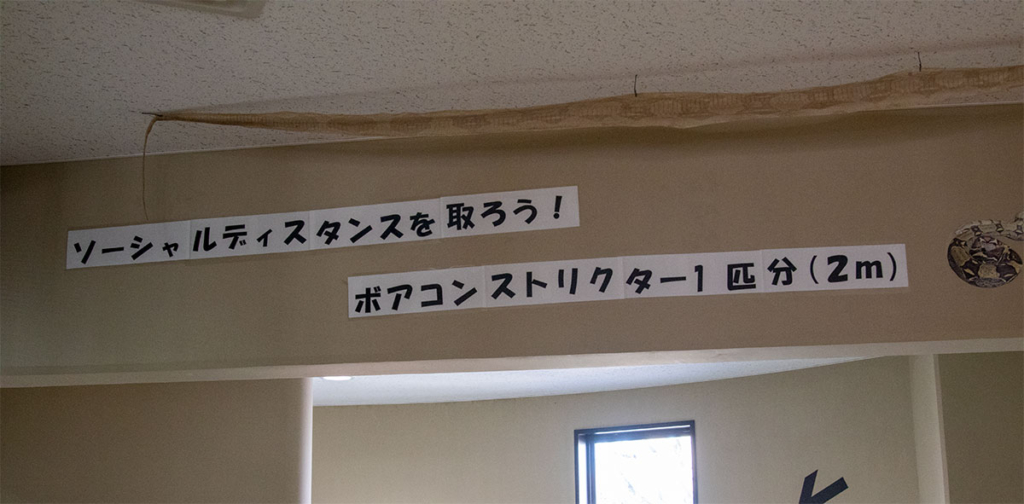 日立市かみね動物園はちゅウるい館内展示