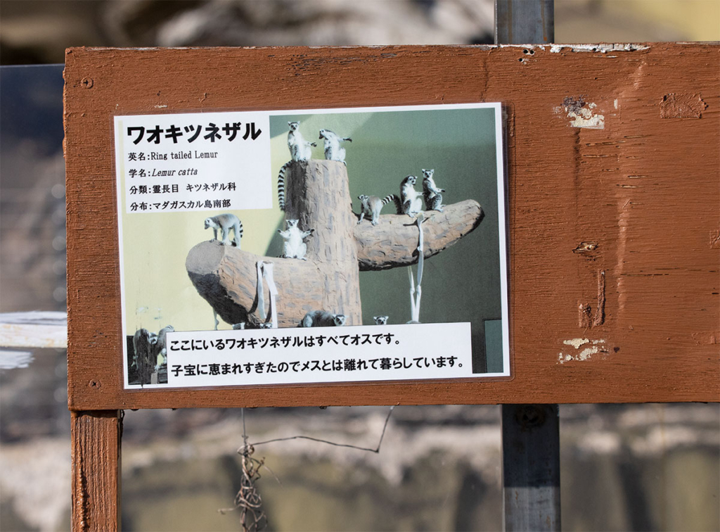 日立市かみね動物園内の掲示