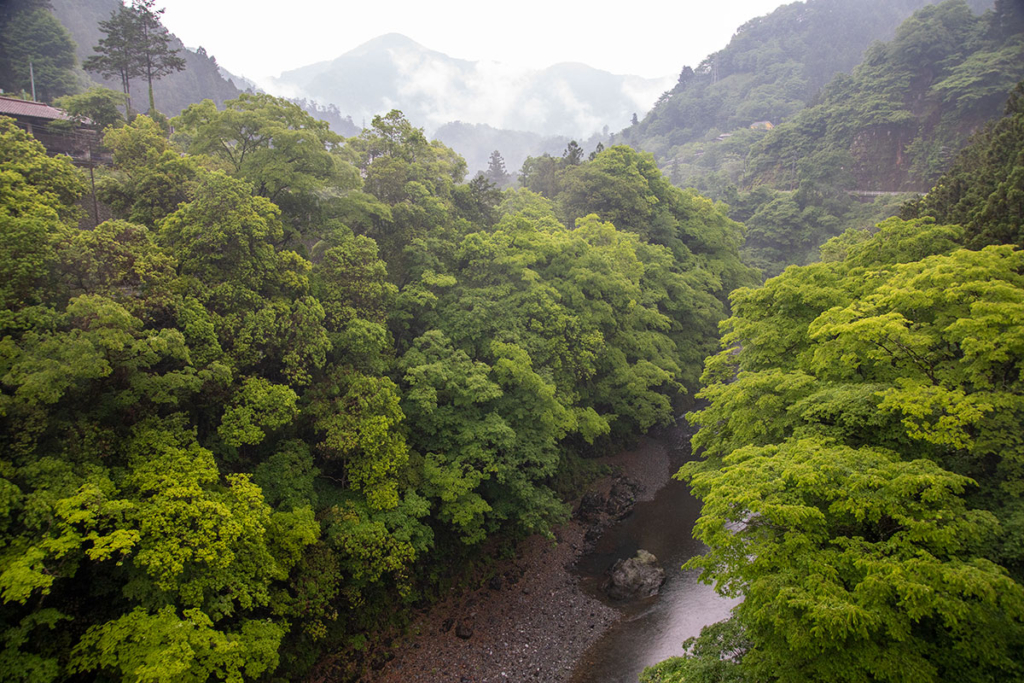 多摩川沿いの風景