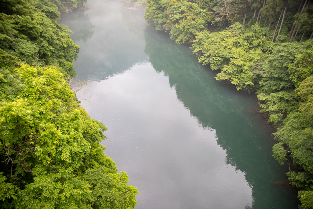 数馬峡橋から見る白丸湖