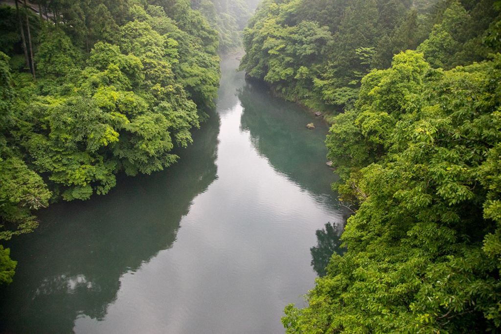 数馬峡橋から見る白丸湖