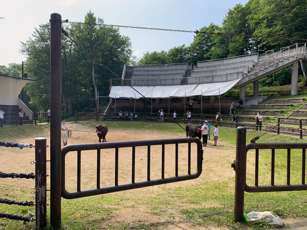 山古志闘牛場 場内の様子