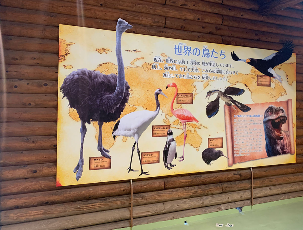 天王寺動物園 鳥の楽園内の掲示