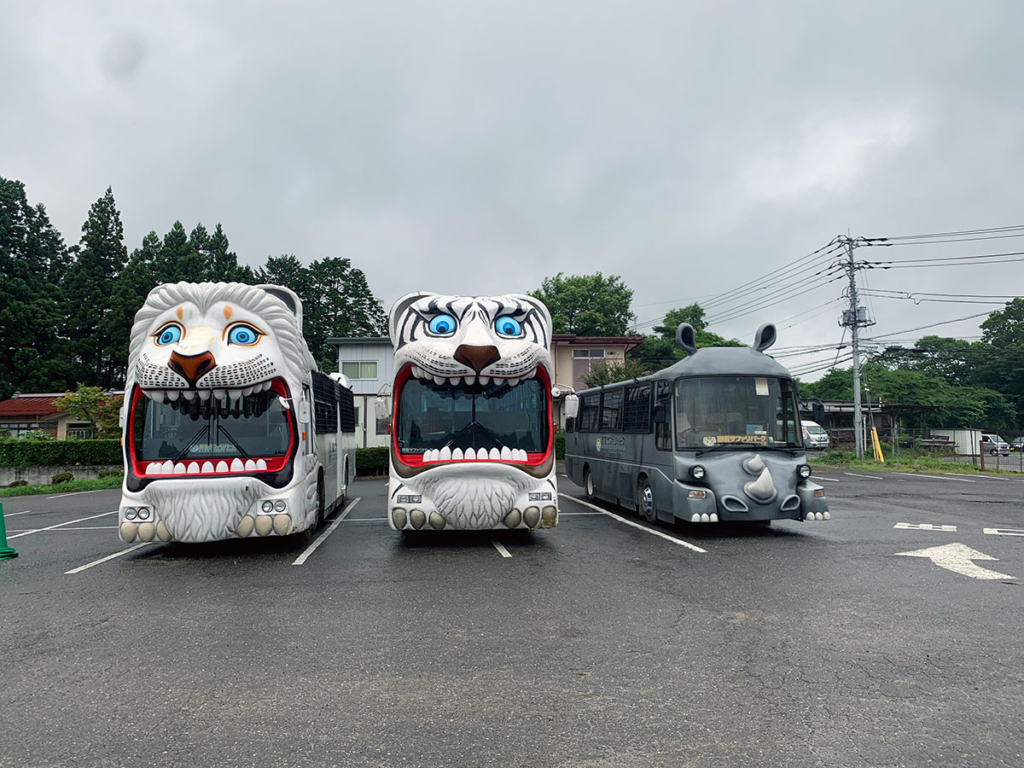 那須サファリパーク内のサファリバス