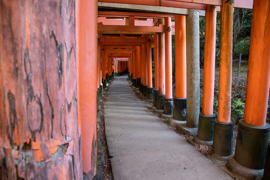 稲荷山道中の鳥居