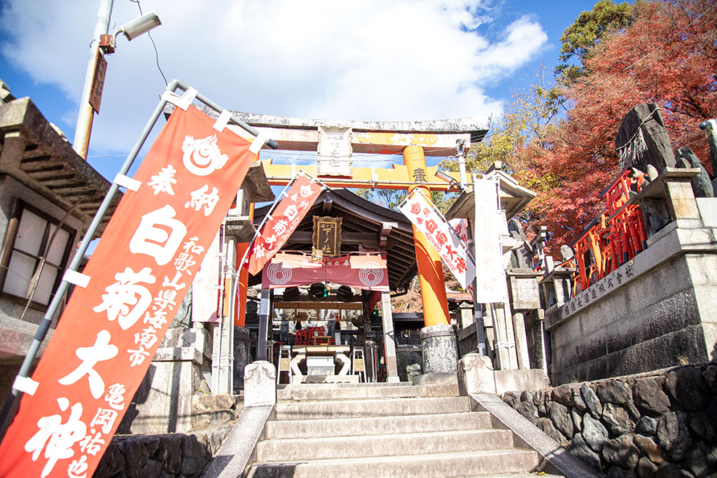 稲荷山　三ノ峰、白菊大神