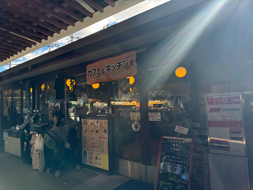 京都市動物園内ミライハウスカフェ