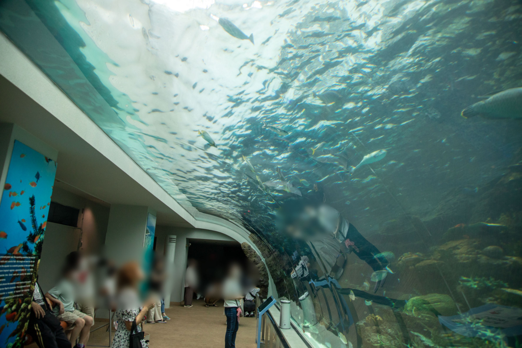 サンゴ礁大水槽