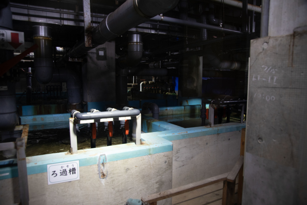 名古屋港水族館のバックヤード