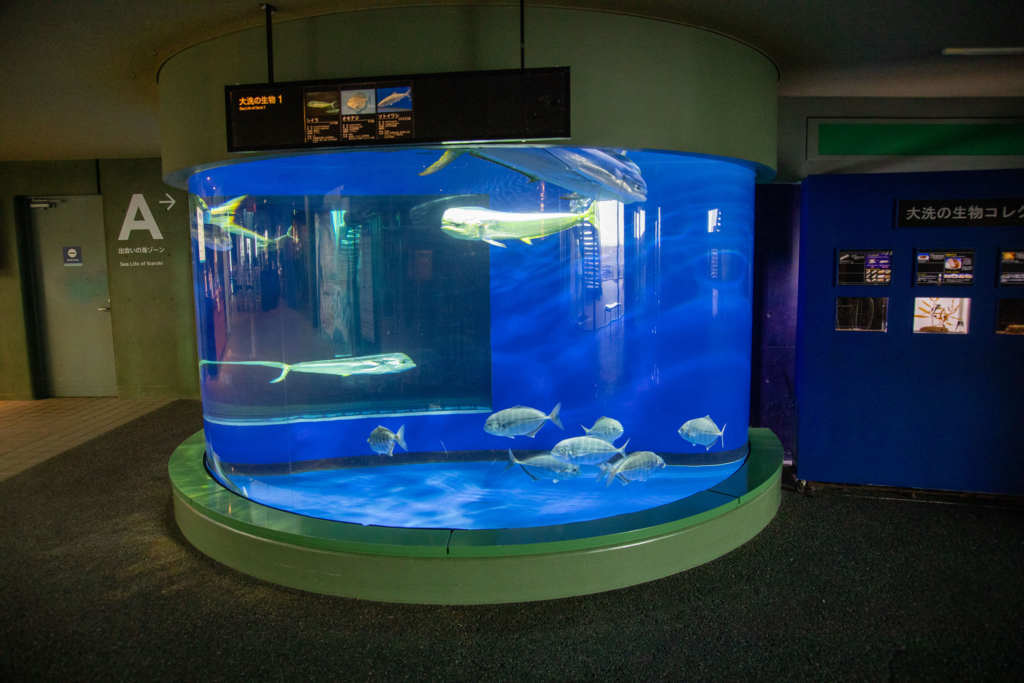 アクアワールド茨城県大洗水族館・大洗の生物水槽