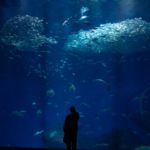 Thumbnail of post image 055