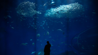 Thumbnail of post image 011