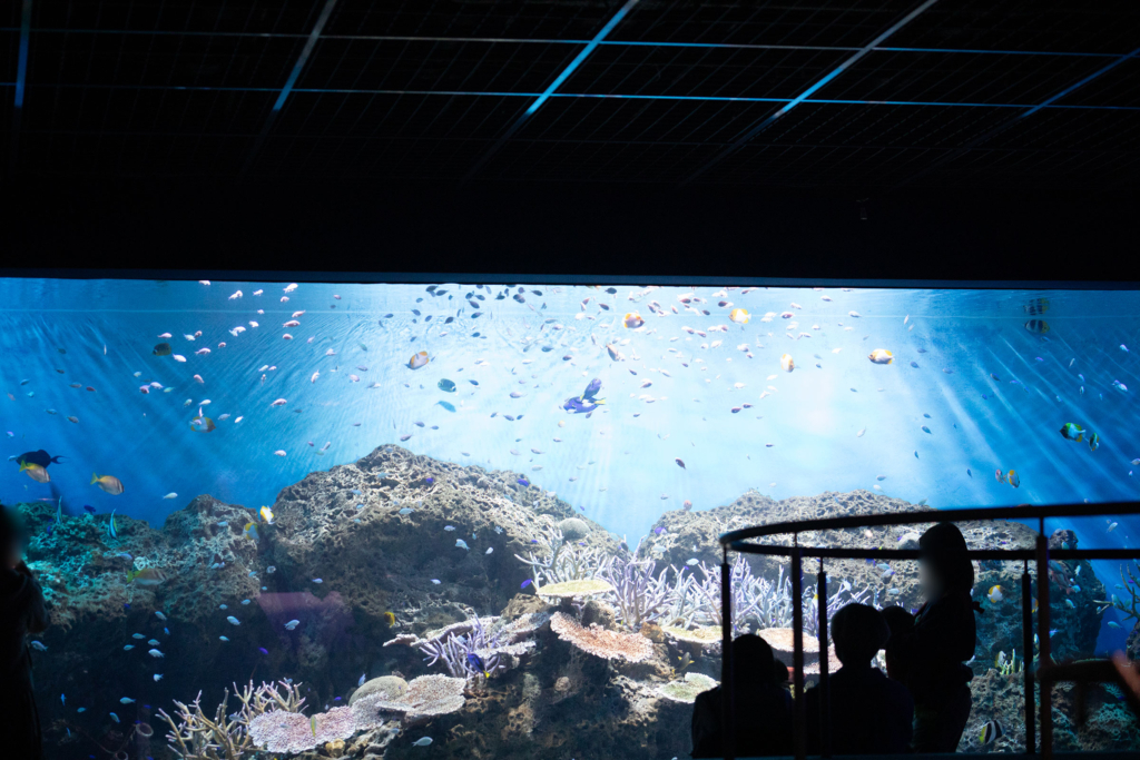 アクアワールド茨城県大洗水族館の「きらめく珊瑚礁の魚たち」水槽