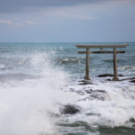 Thumbnail of post image 125