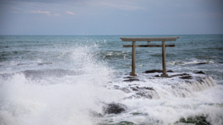 Thumbnail of post image 114