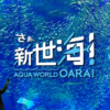 【公式】アクアワールド茨城県大洗水族館 | 関東最大規模の海の総合ミュージアム